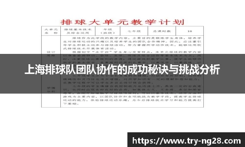 上海排球队团队协作的成功秘诀与挑战分析